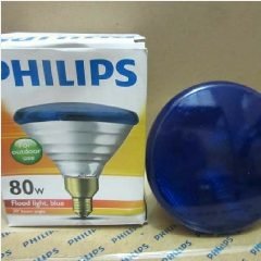 PHILIPS Outdoor Reflector PAR38 80w Blue(12)