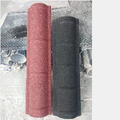 Nok Pasir Hitam V