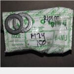 Ring Plat SS M24