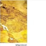 Wall Panel Translucent SHUNDA SPA6103-H1