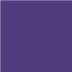 TACO HPL TH 027 AA Purple
