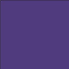 TACO HPL TH 027 AA Purple