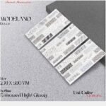 Keramik 25x50 ANTARES Modelano Deco White