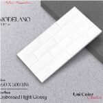 Keramik 25x50 ANTARES Modelano White