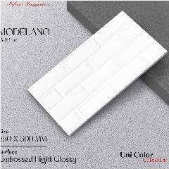 Keramik 25x50 ANTARES Modelano White