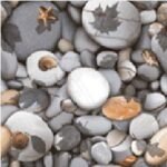 Keramik 50x50 ANTARES Coral Grigio