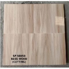 Keramik 50x50 SUNPOWER Bass Wood