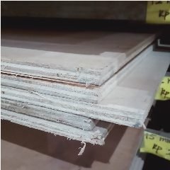 Triplex 12mm Sengon