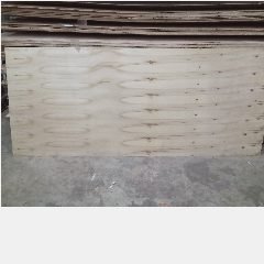 Triplex Pintu