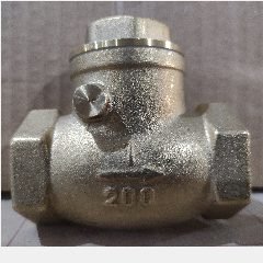 Check Valve UNNU CV 1″ (5/40)
