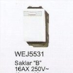 PANASONIC WEJ 5531 (10/100)