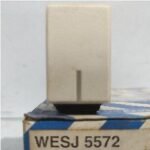 PANASONIC WESJ 5572W (100)