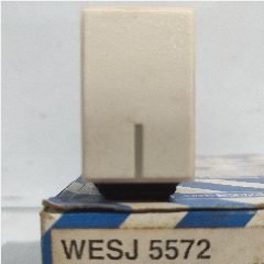 PANASONIC WESJ 5572W (100)