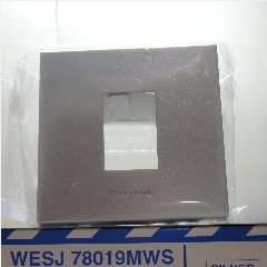 PANASONIC WESJ 78019MWS (100)