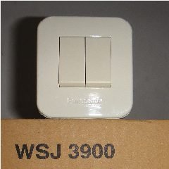 PANASONIC WSJ 3900 (20)