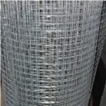 Kawat Loket PATRI 18kg 1″ per meter (25)